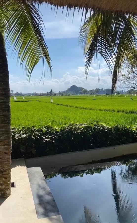 Crescent Moon Villa Ubud Exterior foto